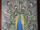 The Bluetones - Expecting to Fly - 1996 First Press Limited Edition NM/NM