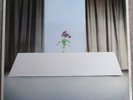WIRE - CHAIRS MISSING (ORIG) - HARVEST