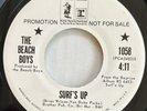The Beach Boys Surf's Up /Don't Go Near The Water Rare Promo Brother Reprise 45