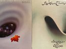 2 Robin Trower Promo & Demo LPs - 'Long Misty Days' & 'Bridge Of Sighs' VG