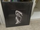 The Tortured Poets Department — Taylor Swift (Dark 2LP) “The Black Dog” vinyl