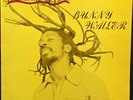 Bunny Wailer - Rock 'N' Groove, LP, (Vinyl)