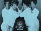 Shrine Northern The 60s Rarest Dance Label 60s Soul Vinyl LP New Sealed