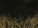 If These Trees Could Talk If These Trees Could Talk (Vinyl) (UK IMPORT)