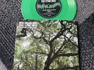 Noel Gallagher's High Flying Birds-The dying of the light 7” UNPLAYED COPY