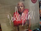 Lady Gaga – Harlequin - Red LP Vinyl Record 12