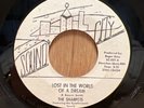 THE SHARPETS Lost In The World Of A Dream rare orig Sound City Northern Soul 45