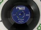 The Pioneers - Don’t You Know / Me Naw Go A Believe RARE REGGAE VINYL 7“