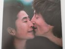 John Lennon/Yoko Ono - Milk and Honey Vinyl, LP Geffen Records 1984 Prima stampa