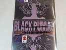 Black Pumas - Chronicles of a Diamond (Target Exclusive, Vinyl)