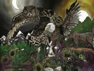 Avatar Feathers & Flesh (Vinyl) 12