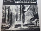 Hum Electra 2000 1993 ORIGINAL Limited Pressing Vinyl LP