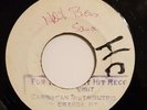The Untouchables.Hot Boss Sauce/ Wall Flower. Jamaican Blank label. 1968