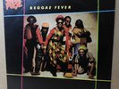 STEEL PULSE 