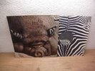 KIN PING MEH - No 2 original 1st PRESS ZEBRA 1972 German Krautrock LP