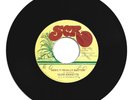 GLEN RICKETTS / DOES IT REALLY MATTER / ONE MAN BAND / 7''