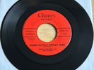 Curtis Wilson & The Staffs -Poor Little Stray Dog- Doo Wop Teen 45 Cherry - Hear