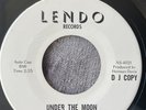 Rufus Wonder & The Additions: Under The Moon. EX+ DEMO Rare Northern Soul