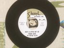 The Fortune Tellers 45 Just a Little Bit of Your Love 1961 Doo Wop Soul EX
