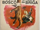 JOAO BOSCO GALOS DE BRIGA  LP 1976 ORIG RCA LUIZ ECA  SAMBA BOSSA SOUL BRAZIL
