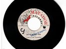 #108 SKIN REGGAE 45 MATADOR 1969 THE PARAGONS 