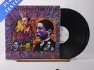 The Legendary Pink Dots Asylum Gatefold Double LP Album Vinyl Record - VG+/VG+