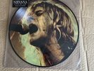 Nirvana - WHITE TRASH LIMITED EDITION - Picture Disc - Never played/Mint KRT22