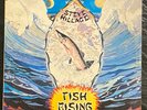 STEVE HILLAGE - Fish Rising - 1975 Prog Rock Lp - NM  (Gong, Orb, Kevin Ayers)