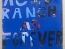 ACID RANCH Acid Ranch As Forever (2005) LP Rockathon RARE (Guided by Voices)