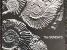 The Sundays - Reading, Writing And Arithmetic 1990  Rare Ltd Ed Picture Disc