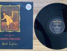 David Sylvian 'A Little Girl Dreams Of Taking The Veil' UK 12