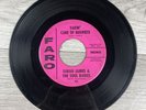 Sarah James & The Soul Babies Takin’ Care Of Business 45 RPM 7” Vinyl Faro