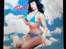 Debris of Titan Bettie Page Cover   Album Record LP  Pin Up