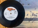 Echo And The Bunnymen / SIGNED BY LES PATTINSON  /A Promise UK  7