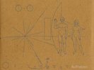 The Brian Jonestown Massacre AUFHEBEN Records & LPs New