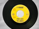 1960's Rock 'n' Roll 45  Troy Shondell  Money Honey