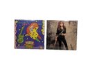 BONNIE RAITT  2 LP lot: Nine Lives Nick Of Time. -Vinyl VG+/Covers