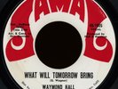 WAYMOND HALL What Will Tomorrow Bring 45 Jamal Rare 1970s CA Crossover Soul Funk