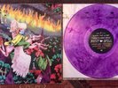Built To Spill – When The Wind Forgets Your Name - Vinyl Me Please Purple Vinyl