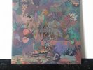 Glass Animals Zaba Limited Edition RARE Reissue Color Vinyl Record Double LP