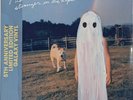 PHOEBE BRIDGERS Stranger In The Alps SEALED 5th Anniversary Galaxy Vinyl