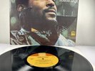 Marvin Gaye 