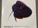 Real Ibiza 2 Ambient Vinyl Triple LP- Very Rare chill out album REACT LP 154