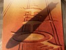 Led Zeppelin Vinyl 6 LP Box Set Crop Circles 1990