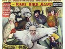 Steve Martin & Steep Canyon Rangers - Rare Bird Alert LP - Rounder 180g SEALED