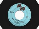 GARAGE 45 - SAS-SHADES - NOW SHE'S ALL ALONE  - HEAR  1966 PTTSBURGH PA.  SCOTTY