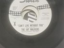 The Jay Walkers - Can't Live Without You - Swan WDJ - Ex/NM -Rare Soul