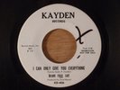 Bram Rigg Set  I Can Only Give You Everything/Take The Time.. RARE  Promo Garage