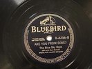 COUNTRY BLUE SKY BOYS Are You From Dixie? BLUEBIRD 8294  EE+  mandolin, guitar