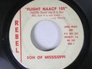 Novelty 45 Son Of Mississippi - Flight NAACP 105 / High Ride On Rebel